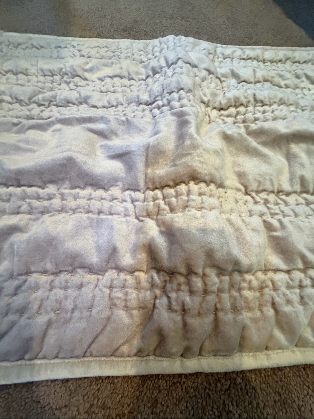 Anthropologie lustered velvet Alastair pillow cover sham cream pearl beige - Picture 5 of 10